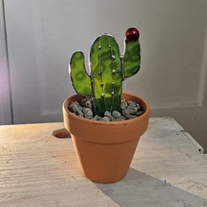 CAPTUS # 2